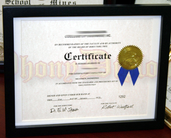 Fake Certificate With Embossed Gold Foil Seal Framed